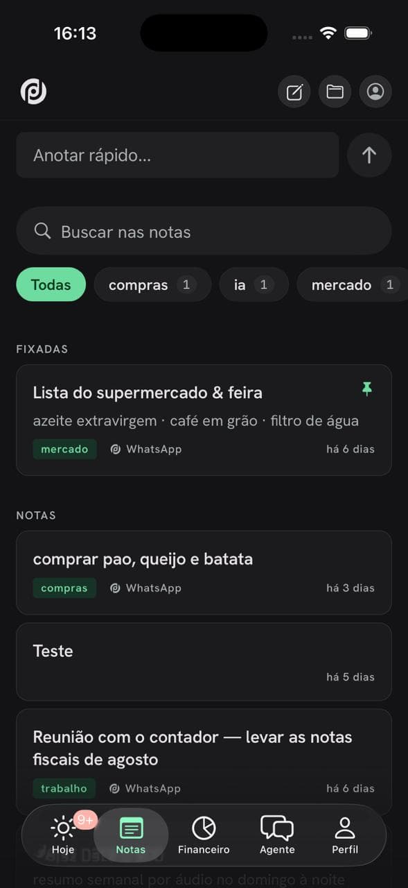 Tela Notas da ProOps Pessoal no iOS: Pastas, tags e checklist